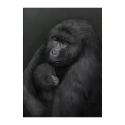 Posters<Kunskapstavlan® Affiche Bergsgorillan, 30x40 cm