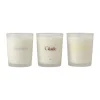 Bougies Parfumées & Diffuseurs<Scandi Living Coffret cadeau Bougie parfumée 70g lot de 3, Stream/Glade/Meadow