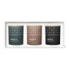 Bougies Parfumées & Diffuseurs<Skandinavisk Coffret cadeau bougie parfumée Hibernation mini, 3 Pièces