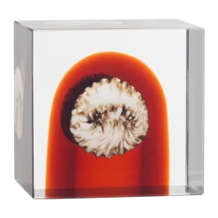L'Art Du Verre|Sculptures & Figurines En Porcelaine<Iittala Cube annual , 2026