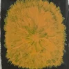 Posters<Fine Little Day Poster Dandelion 40x50 cm, Jaune-noir