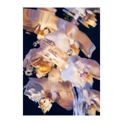 Posters<Paper Collective Poster Flora Aquatica 01, 50x70 cm