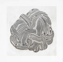 Posters<Fine Little Day Poster Hoshino, 50x50 cm