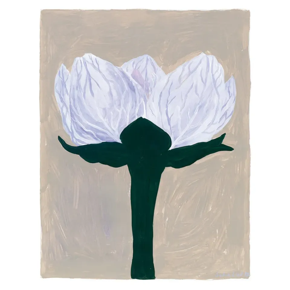 Posters<Fine Little Day Poster Slåtterblomma, 40x50 cm