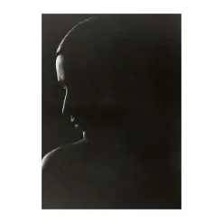 Posters<Paper Collective Poster The Silhouette, 30x40 cm