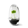 Cache-Pots<Design House Stockholm Serre Grow, Small ø8 cm