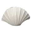 Vases<Byon Vase Shell, Blanc